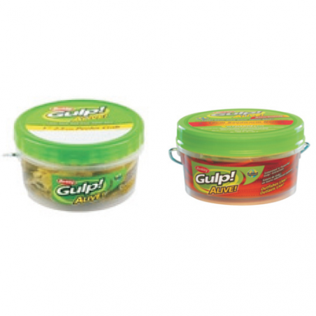 Gulp Alive - 3
