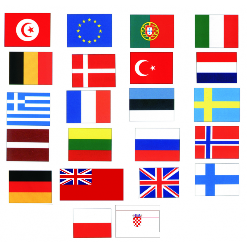 Gæsteflag 30 x 20 cm - 8