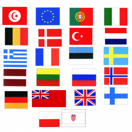 Gæsteflag 30 x 20 cm - 8